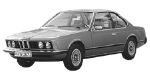 BMW E24 P0A0B Fault Code