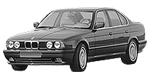 BMW E34 P0A0B Fault Code